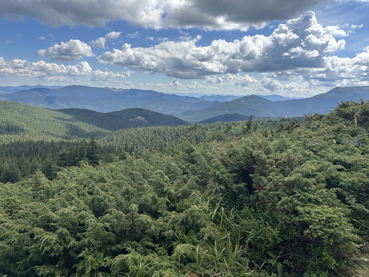 Forest covered ridges of the Ukrainian Carpathians beneath sunlit clouds