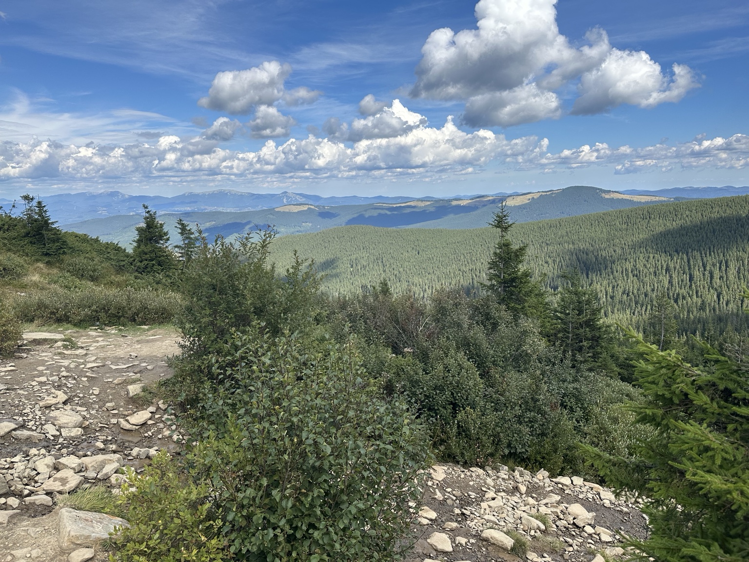 Rocky mountain path overlooking wooded ridges beneath a bright blue sky